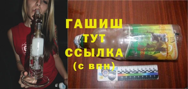 гашик Алексин