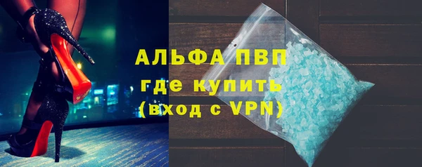 гашик Алексин