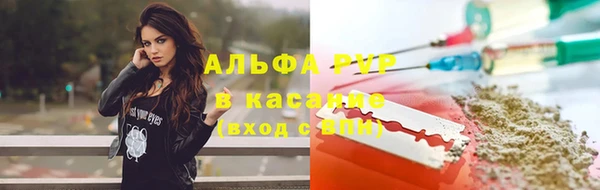 гашик Алексин